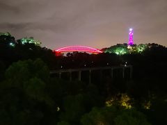 -金鸡山公园