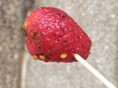 -雪儿钱局泡菜