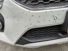 -脉冲品质汽美·贴膜(闵行店)