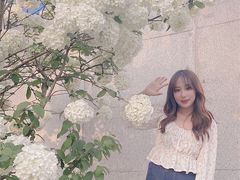 -大龙山(地铁站)