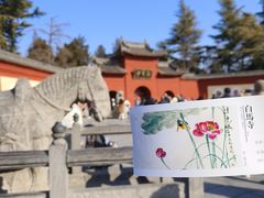 -洛阳白马寺