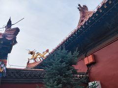 -大召无量寺