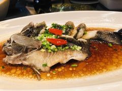 -杭州海华满陇度假酒店