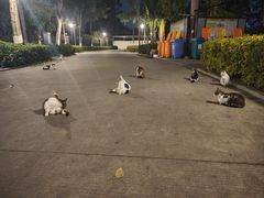 -味友·厦门味(集美店)