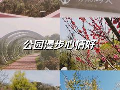 -天生桥景区