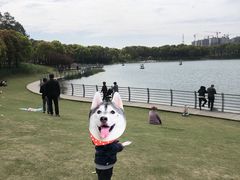 -美兰湖景区