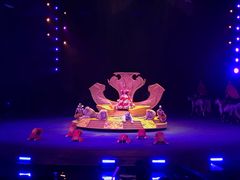 -广州长隆国际大马戏
