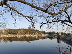 -泰山风景名胜区-虎山公园