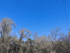 -长春市南湖公园