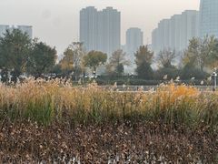 -保定东湖公园(莲池区)