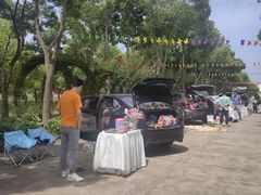 -海上花岛玫瑰园采摘