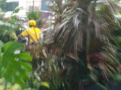 -泰尚臻Siam Essence