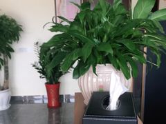 -张钰强中医正骨推拿连锁(唐家人才公寓店)