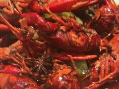 -杨氏青龙虾·羊蝎子(托乐嘉店)