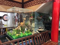 -十三行国医馆