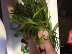 -老诚一锅羊蝎子(黄寺大街店)