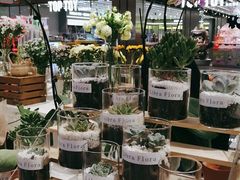 -Libra Flora花店(骆岗中央公园店)