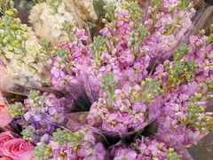 -循礼门鲜花花市(武汉循礼门店)