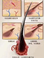 -Bollins波林丝•专研护发中心