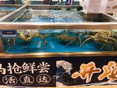 -盒马鲜生(大成店)