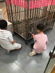 -Moni星球萌宠·小马宝莉·灵蛇·高端高阶全萌宠互动体验俱乐部(红豆国际广场店)