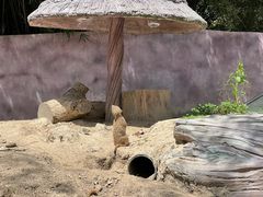 -宁波野生动物园