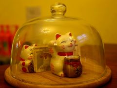 android_upload_pic-猫色咖啡·猫咖