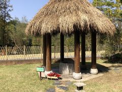 -常德桃花源景区