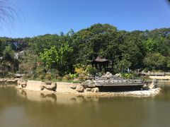 -广州市帽峰山景区