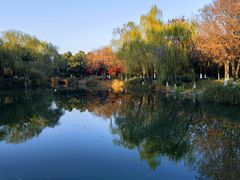 -阳澄湖费尔蒙酒店颐丰阁中餐厅(马鞍山西路店)