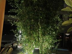 -北平机器Peiping Machine(百子湾店)