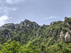 -王顺山国家森林公园