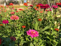 -永定河休闲森林公园