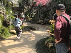 -天目湖山水园
