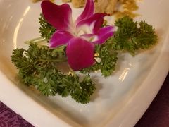 -万柳阁小馆·花园餐厅(龙潭湖店)