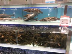 -盒马鲜生(财富中心店)