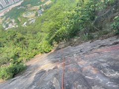 -南山植物园