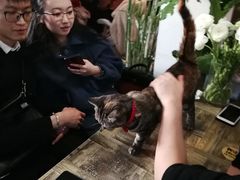 -小时光咖啡馆(北锣鼓巷店)