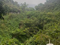-海口火山口国家地质公园