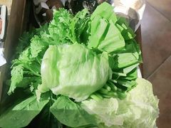 -鸿运楼老北京铜锅涮肉  烤串(木樨园店)