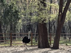 -秦皇岛野生动物园