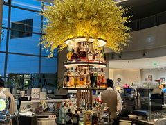 -Plush大堂酒廊(北京金融街威斯汀大酒店)