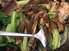 -百家春好德来姜母鸭