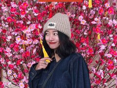 -杏花新城
