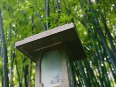 -广州兰圃