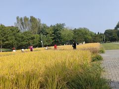 -北坞公园