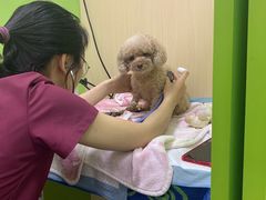 -美联众合动物医院·24h转诊中心