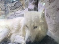 -海合安成都极地海洋公园