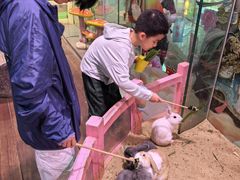 -正佳雨林生态植物园