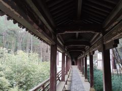 -梦姑塘文化公园